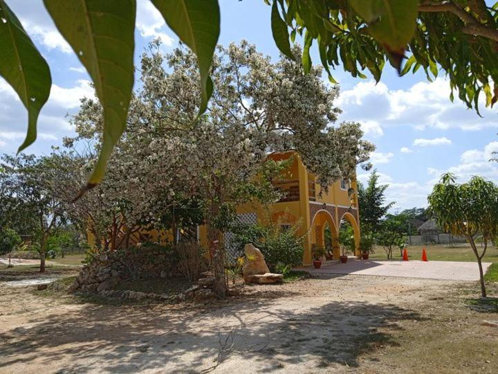 Ecohotel Shalom Valladolid  Exterior photo